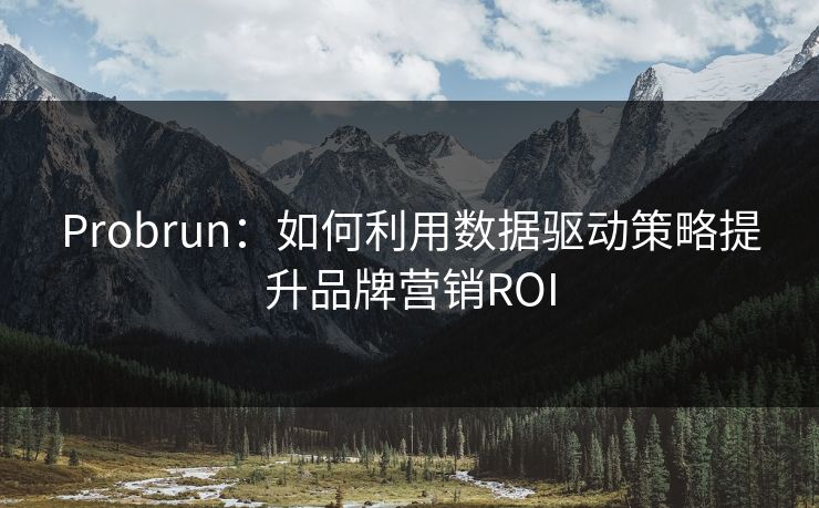 Probrun：如何利用数据驱动策略提升品牌营销ROI