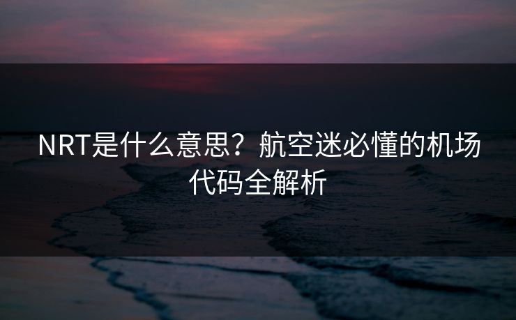 NRT是什么意思?航空迷必懂的机场代码全解析 第1张 NRT是什么意思?航空迷必懂的机场代码全解析 第1张